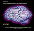 neuropsychologycentral1.jpg